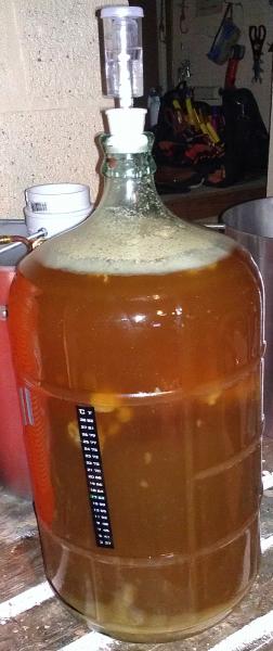 Ferment1.jpg Ferment1.jpg