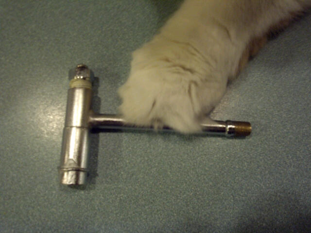 IMG-20120209-00042.jpg