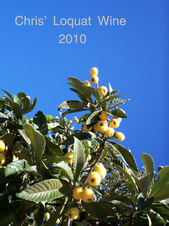 Loquat%20label%202010.psd.jpg