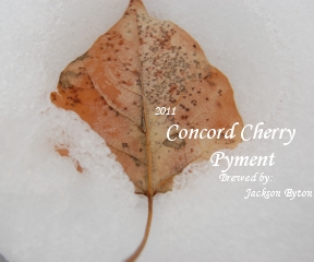 Concord Grape Pyment 2011.jpg