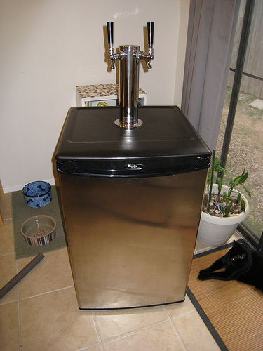 Mytwotapkegerator