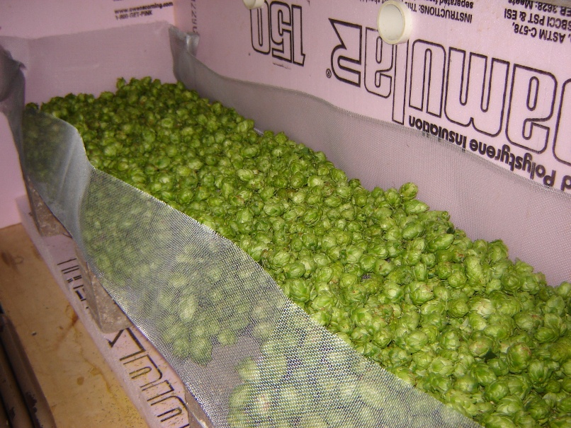 Fermenterturnedhopsdryer