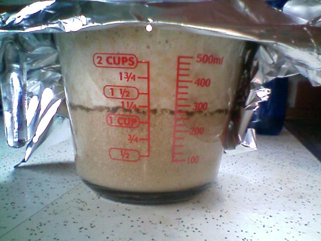 Yeast1