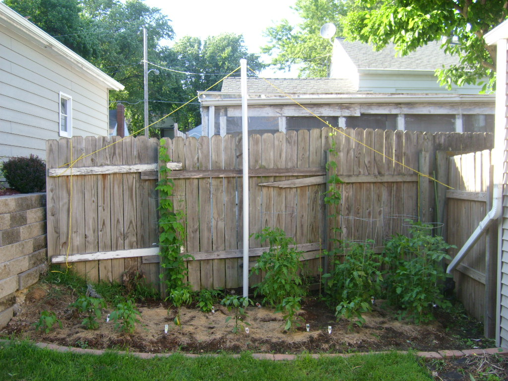 House_2009_00000