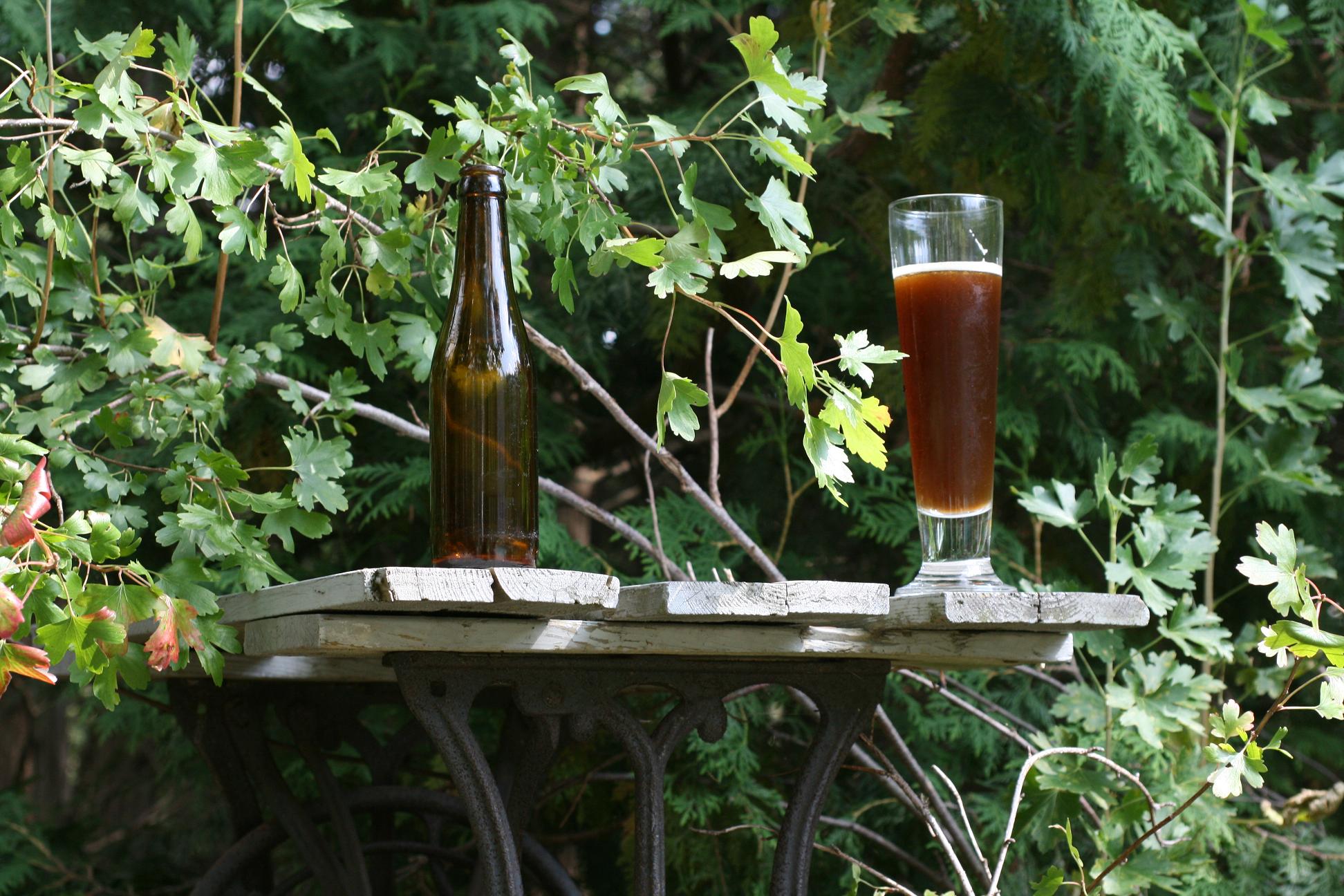 BelgianDubbel-PicturePerfect