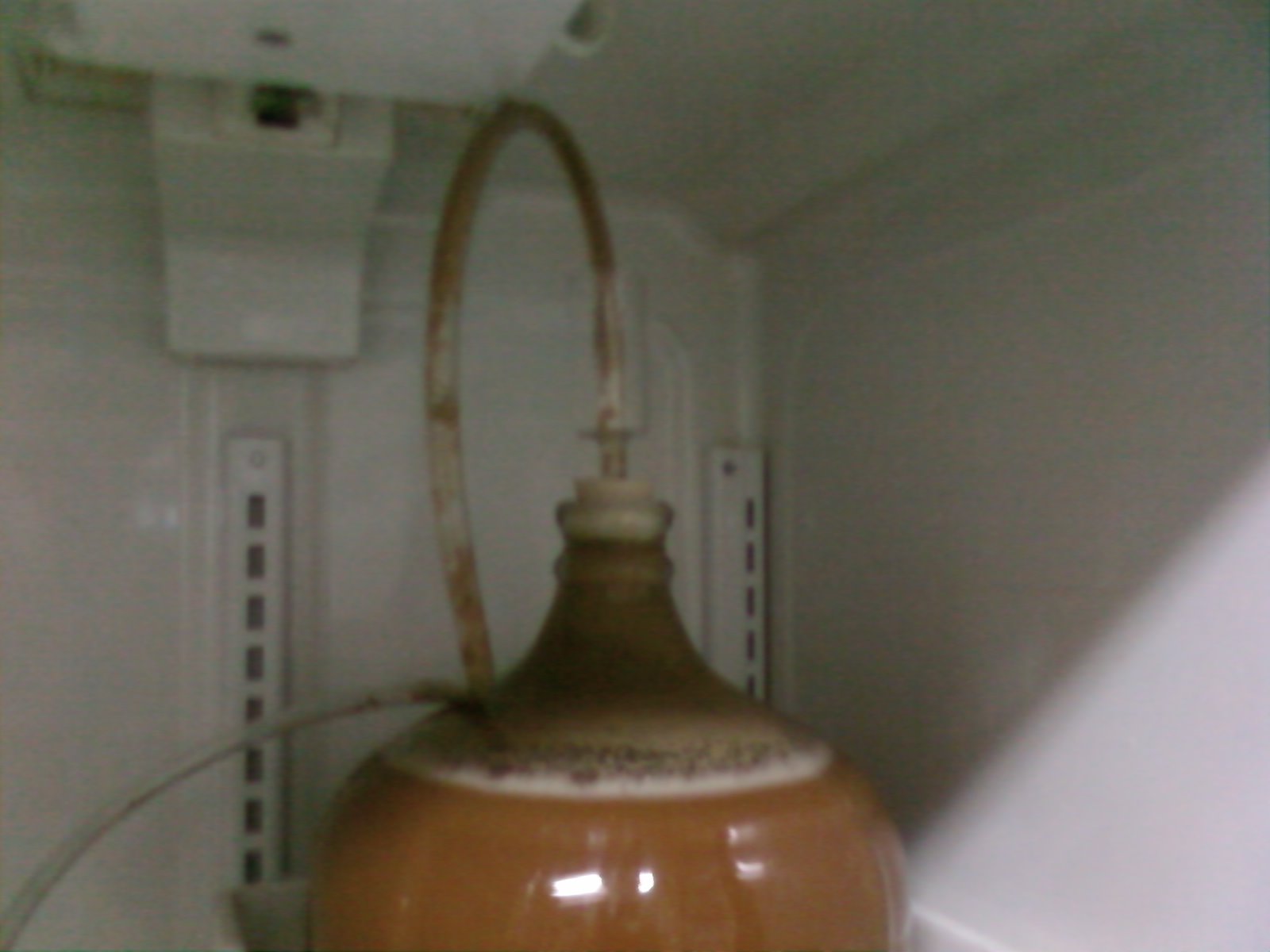Photo0084