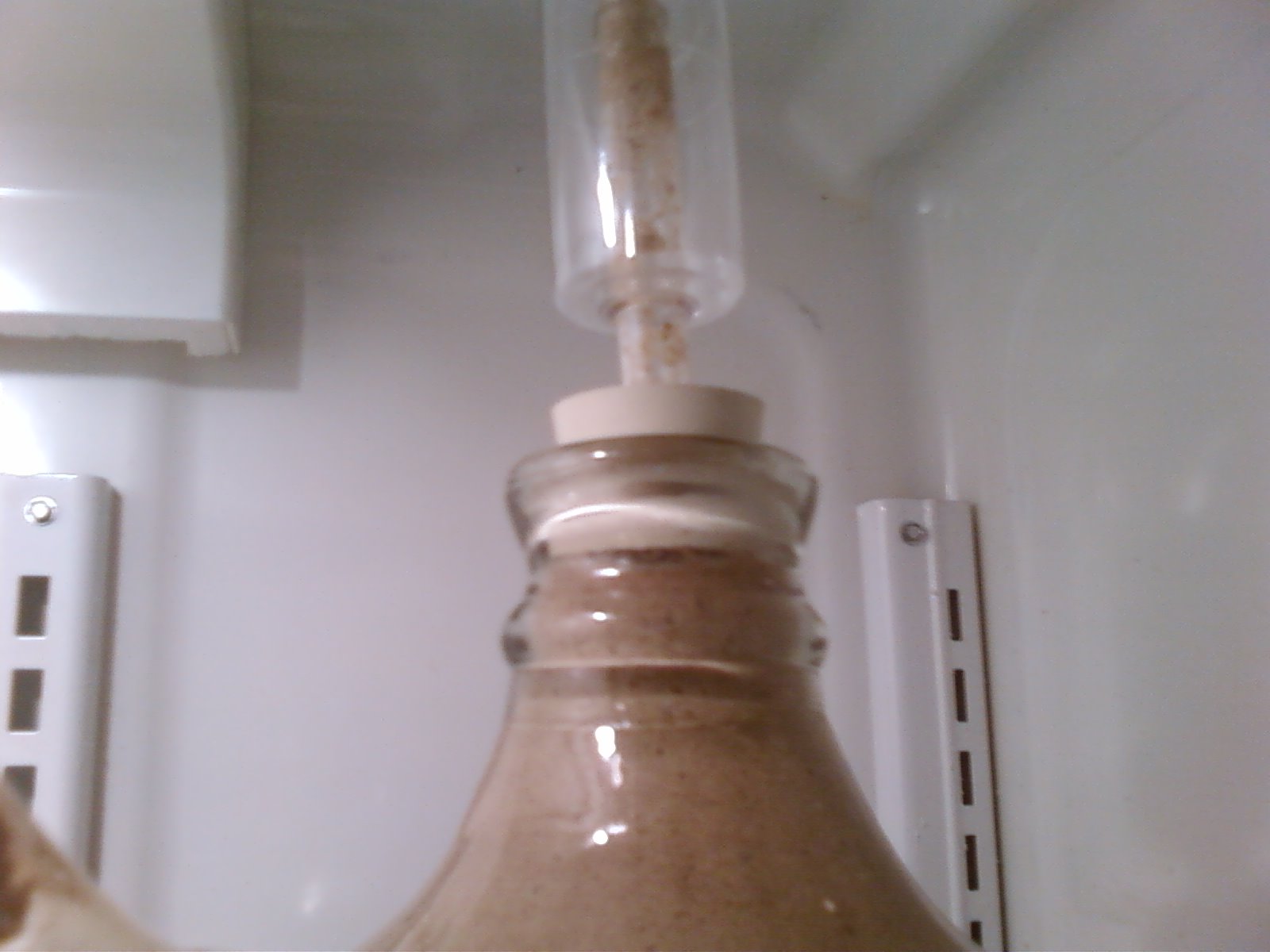 Photo0090