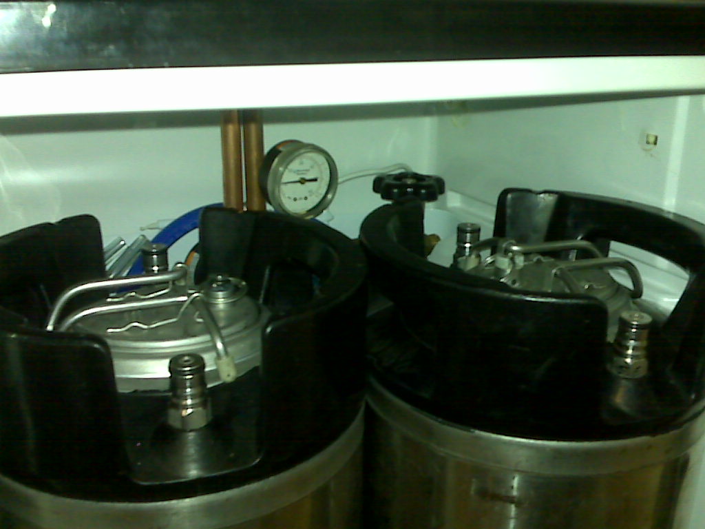 kegeratorfull-twocopperpipesCO2twocornies