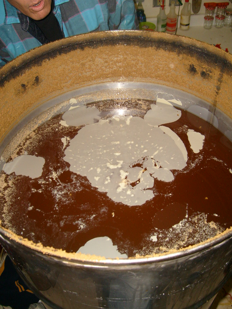 Infectiononfermenter
