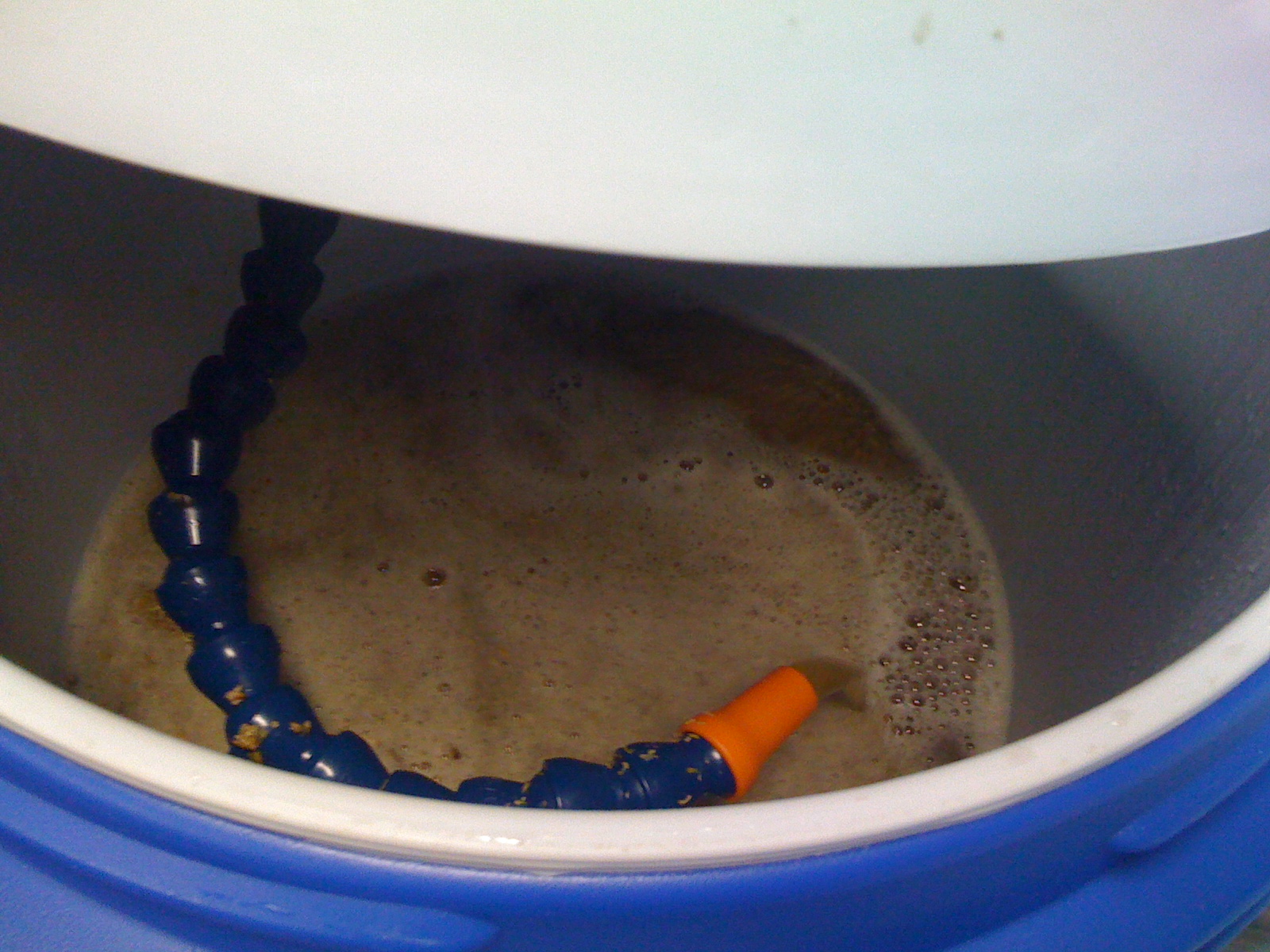 BREWTv10