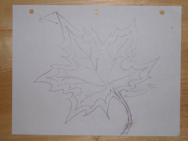 maple1