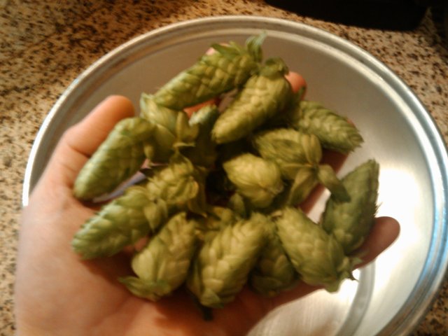 CascadeCones