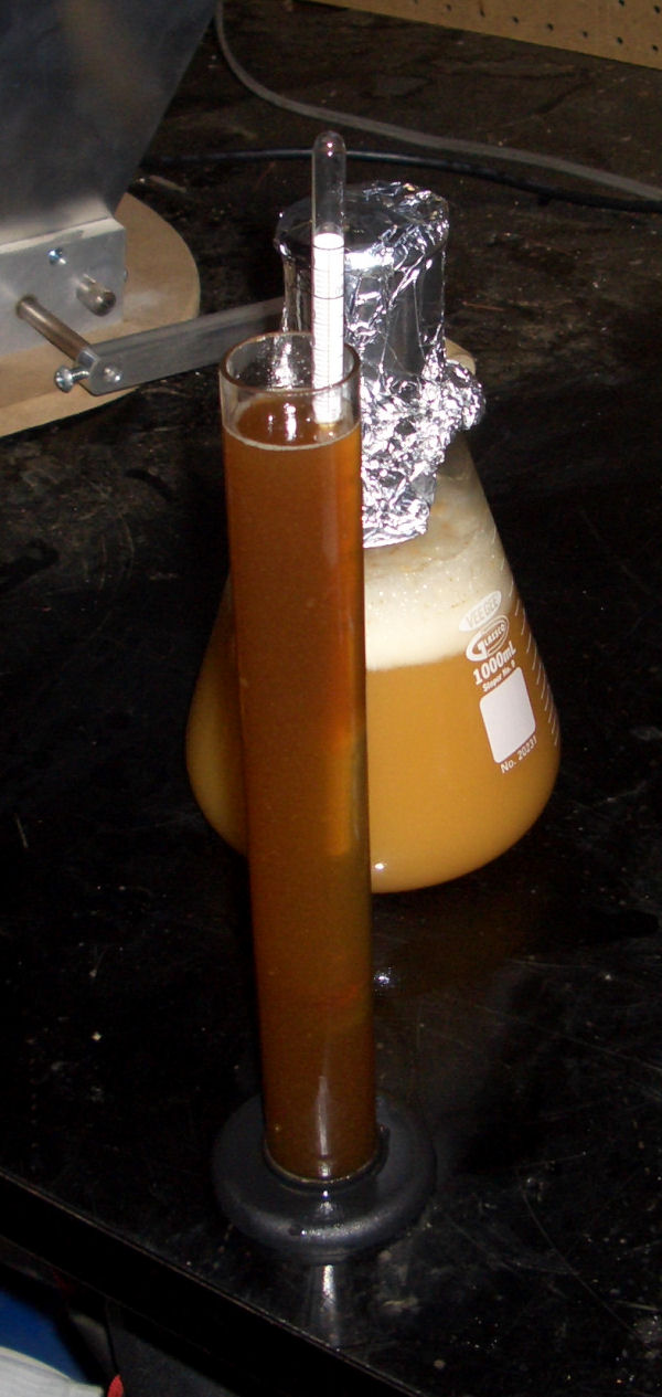 RoggenbierDecoction