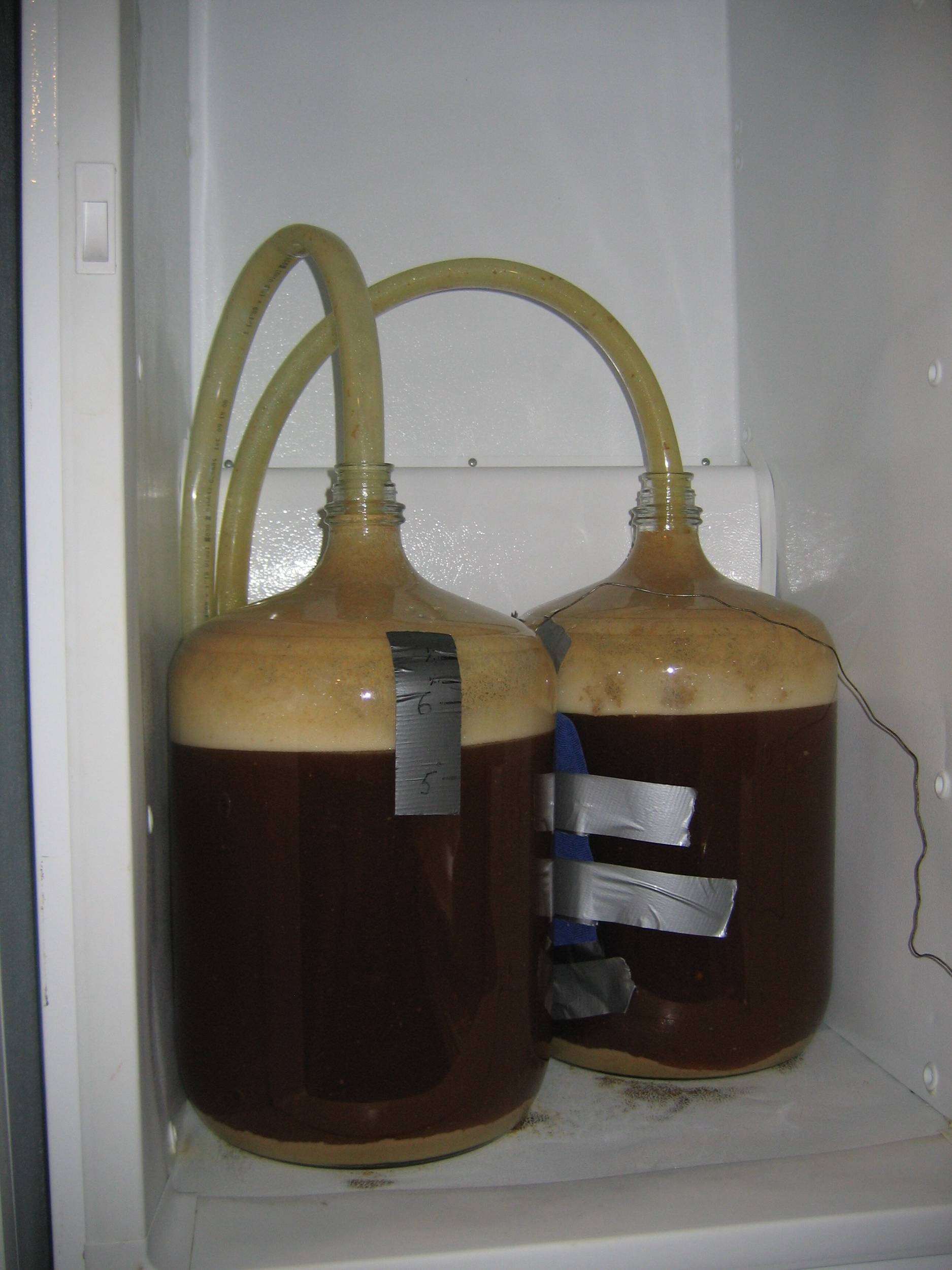 Probably an IPA of some sort