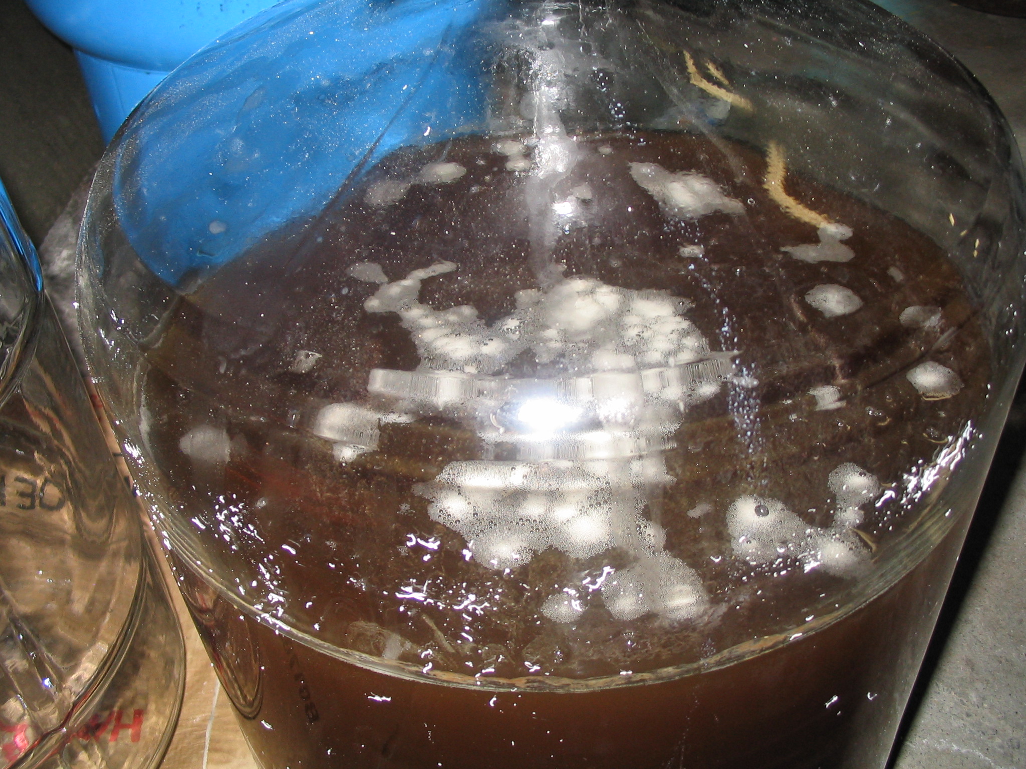 BeerInfection