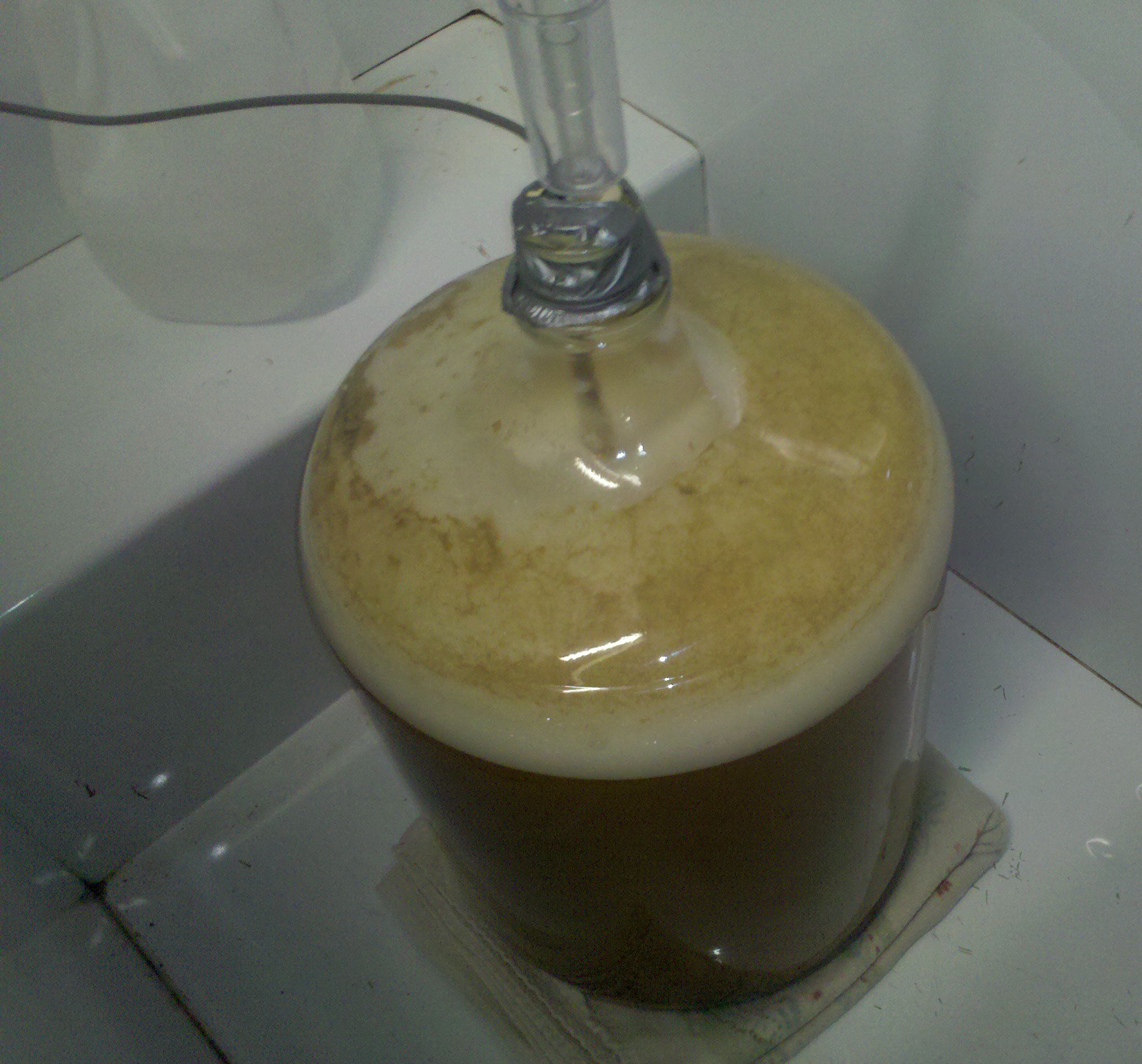 FermentingAway
