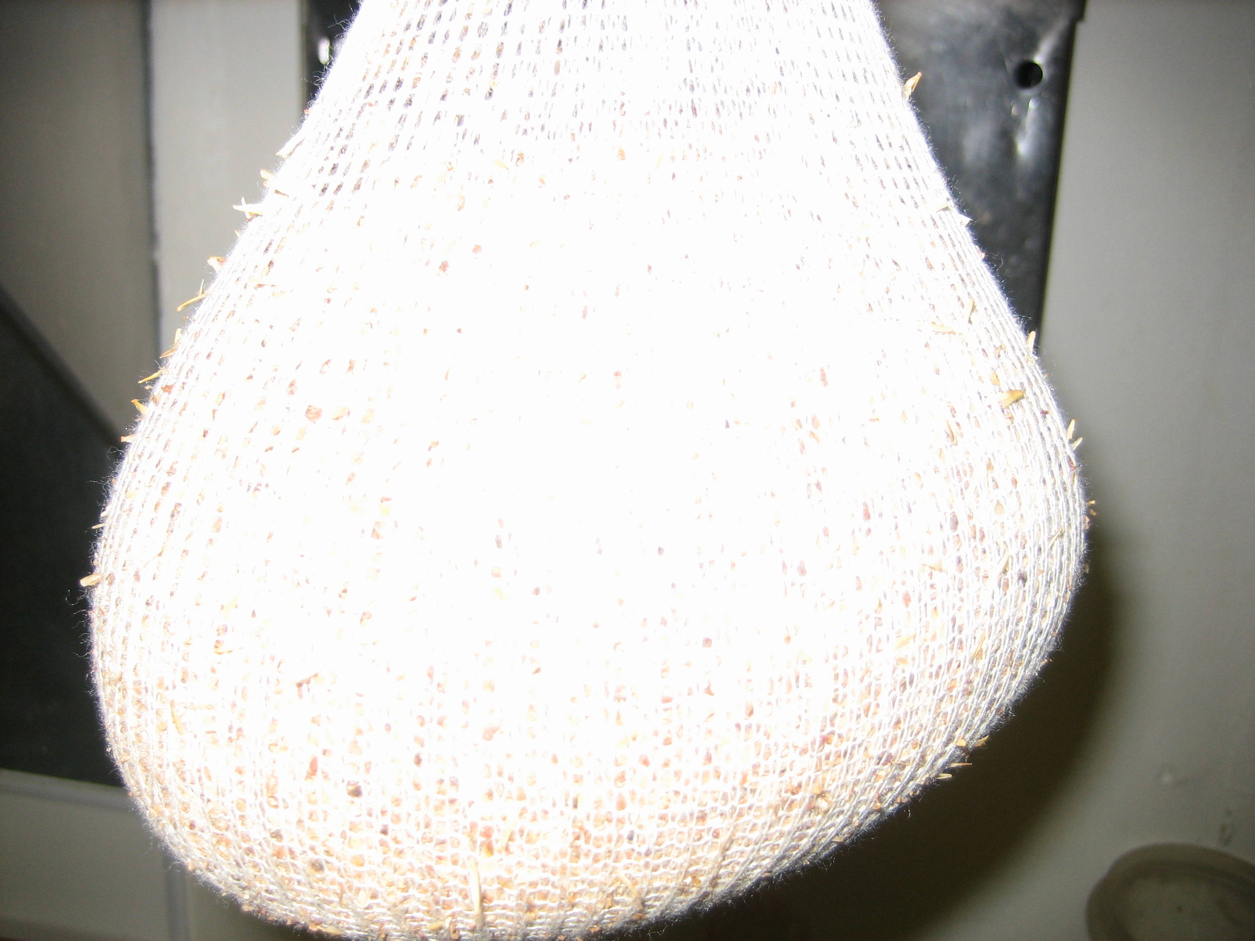MeshbagwithGrains