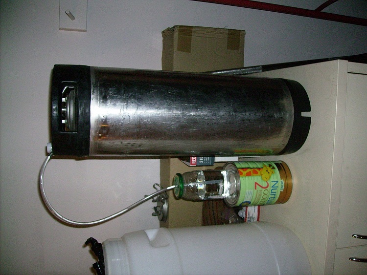 IMGP6582