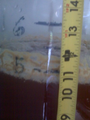 carboy_level