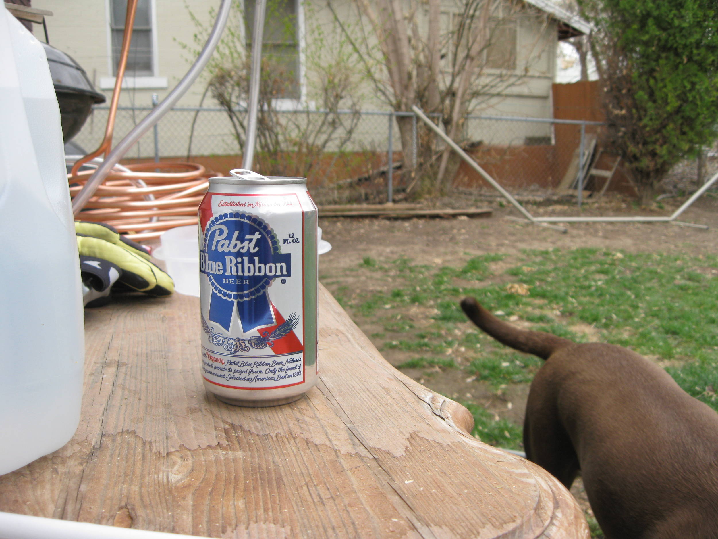 Thebrewbeer