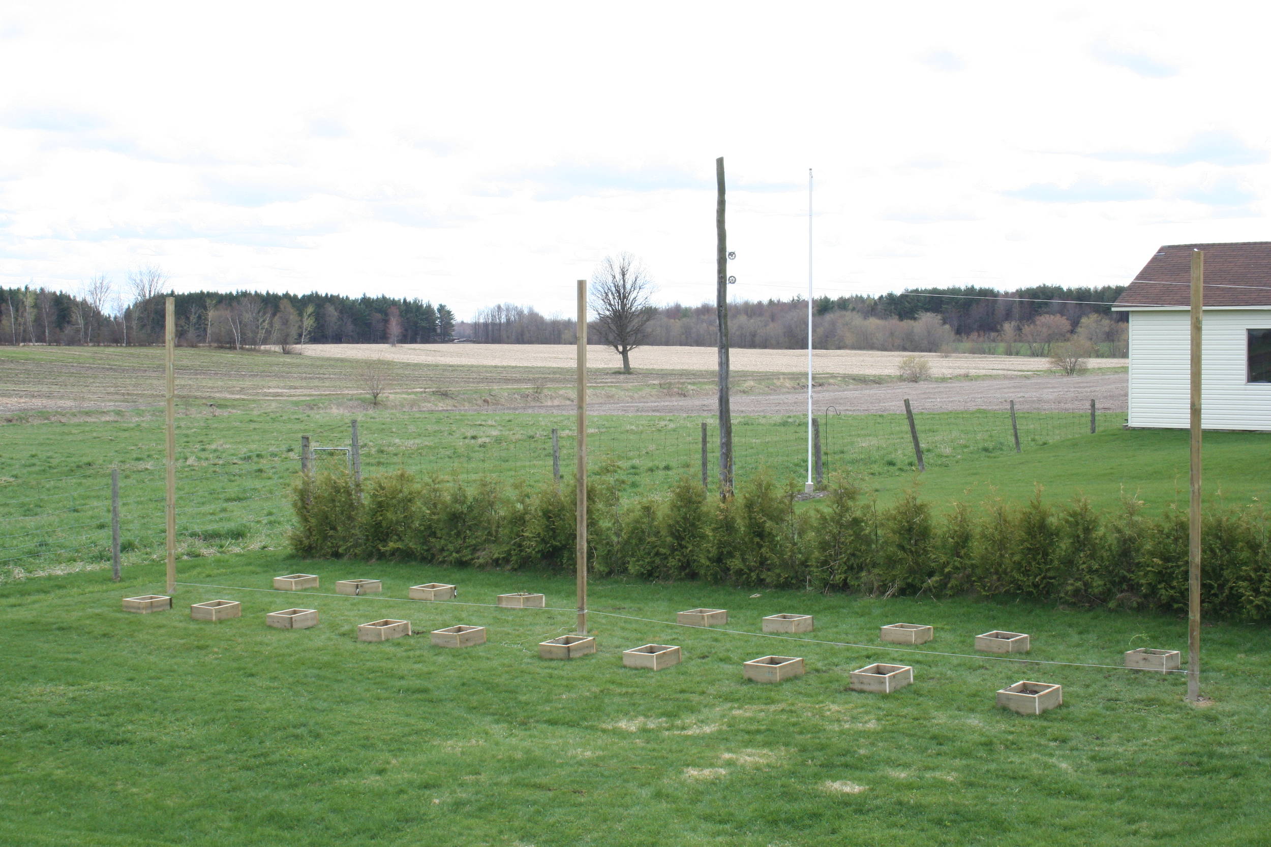 Picture_00711