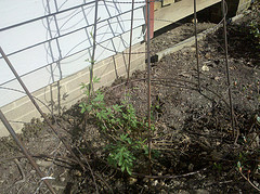 4490980995_1cdb389519_m