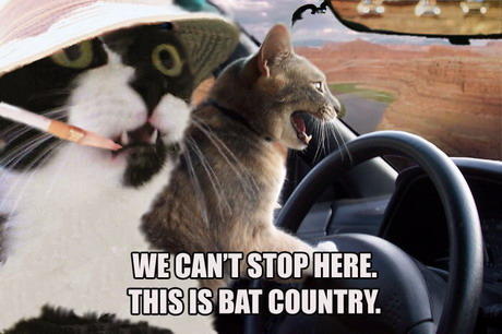 batcountry