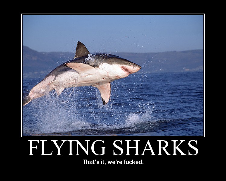 flyingsharks
