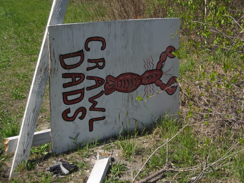 CrawlDads