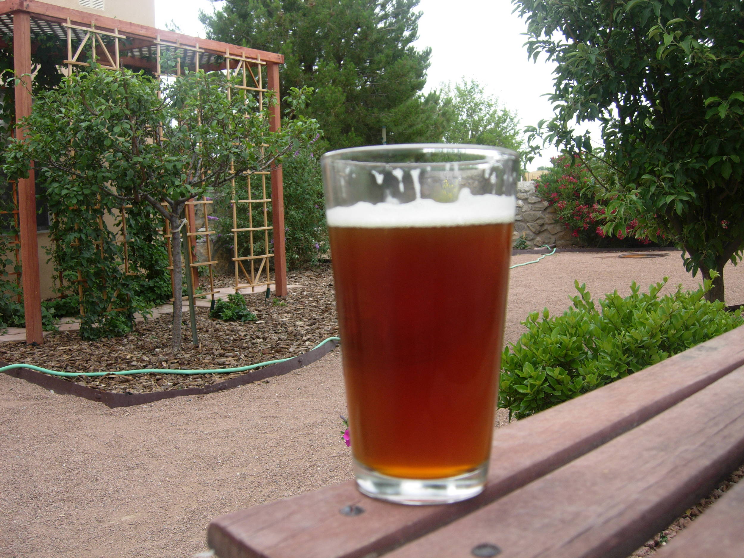 homebrewwithhopsinbackground