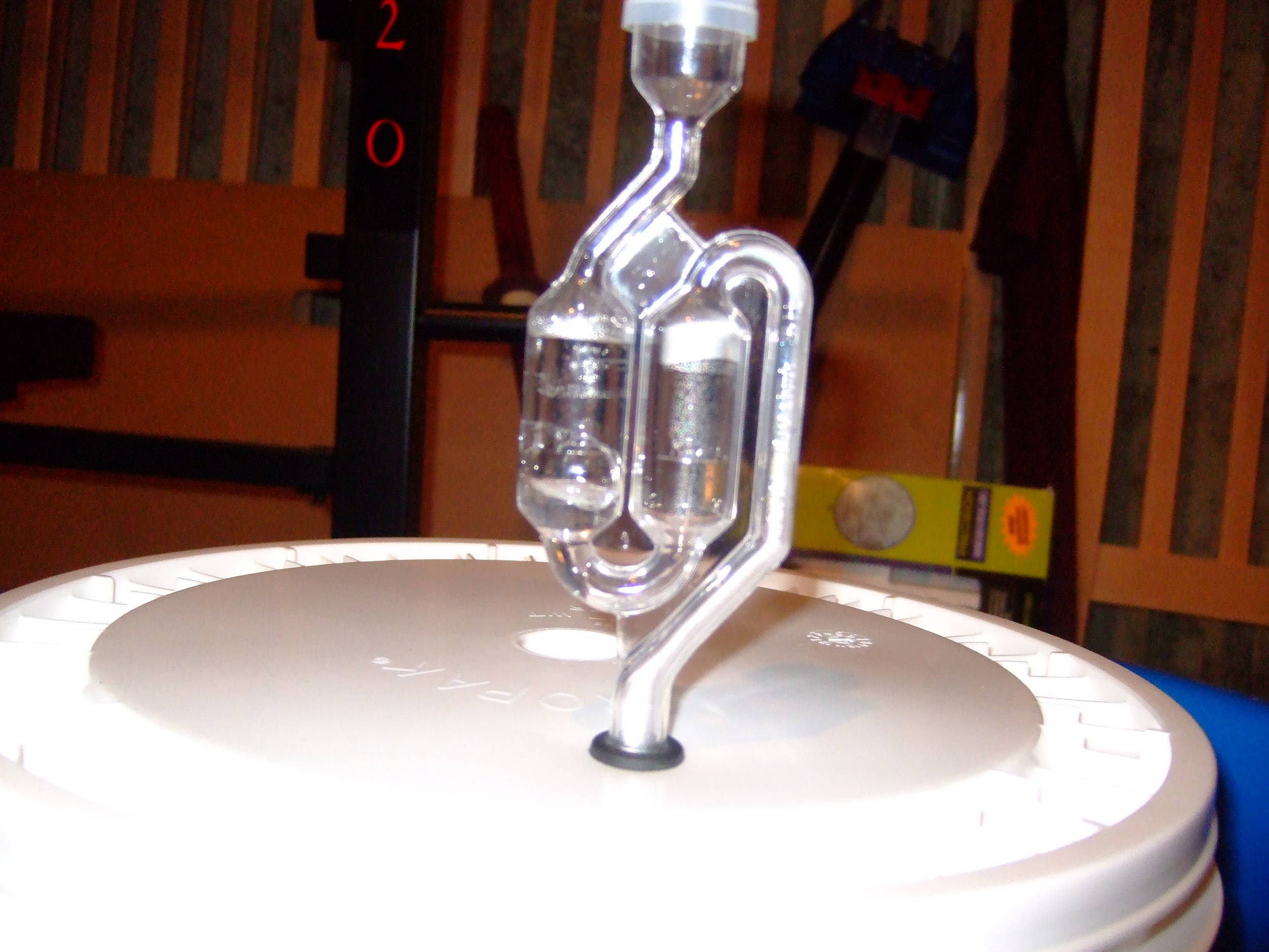 Fermentation