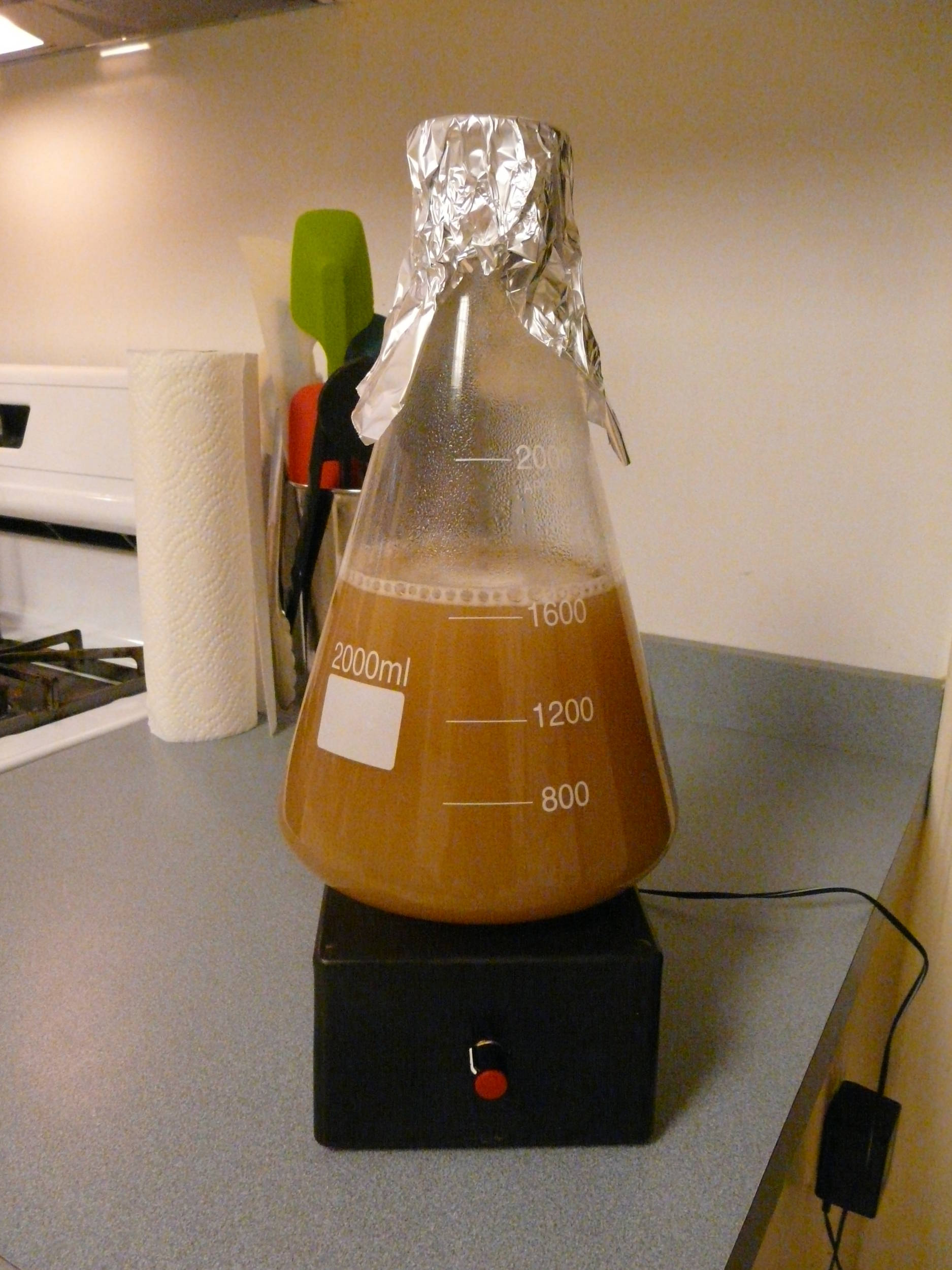 Yeaststarterandhomemadestirplate