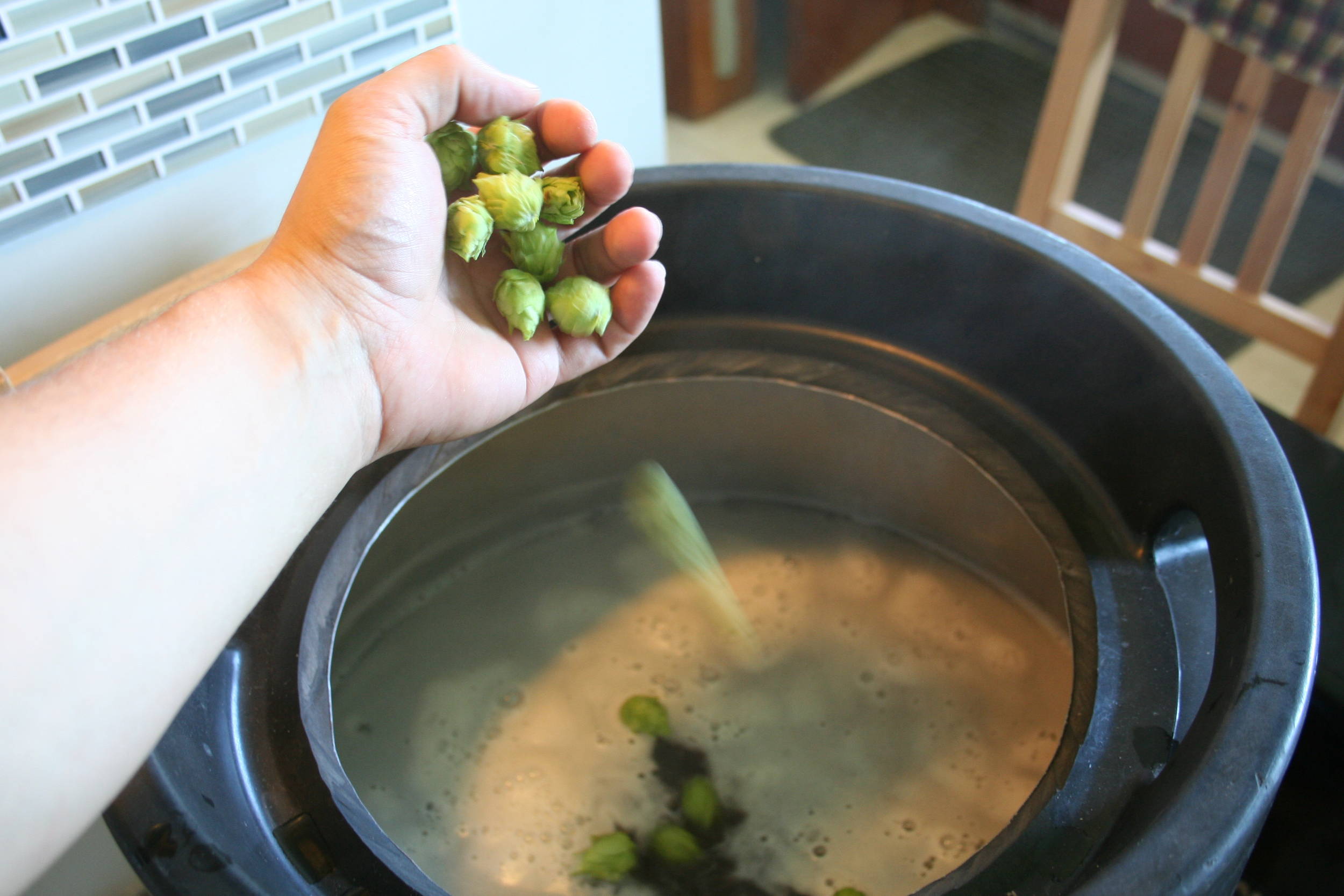 hops_012