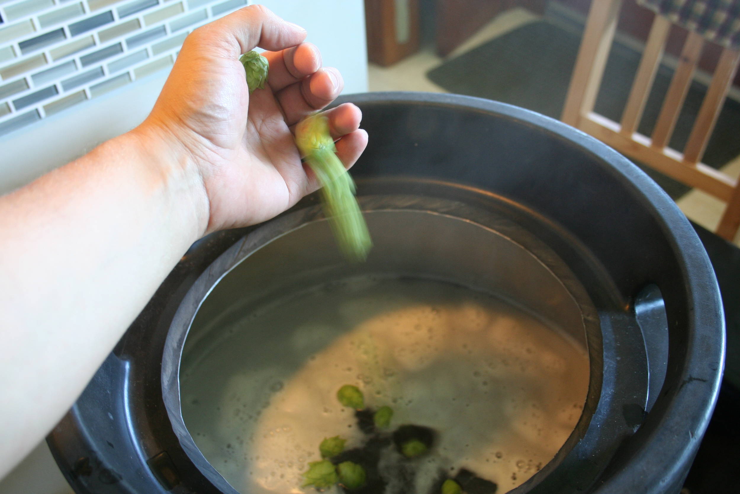 hops_0131