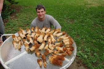 morel2.JPG