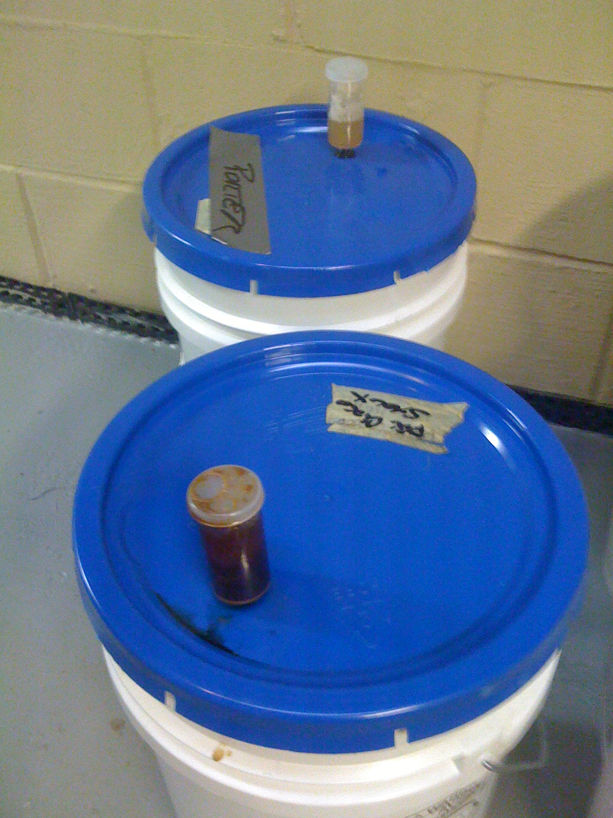 BrewRageAleFermentationDay2