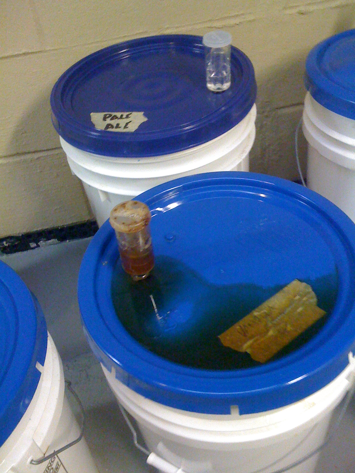 BrewRageAleFermentationDay2