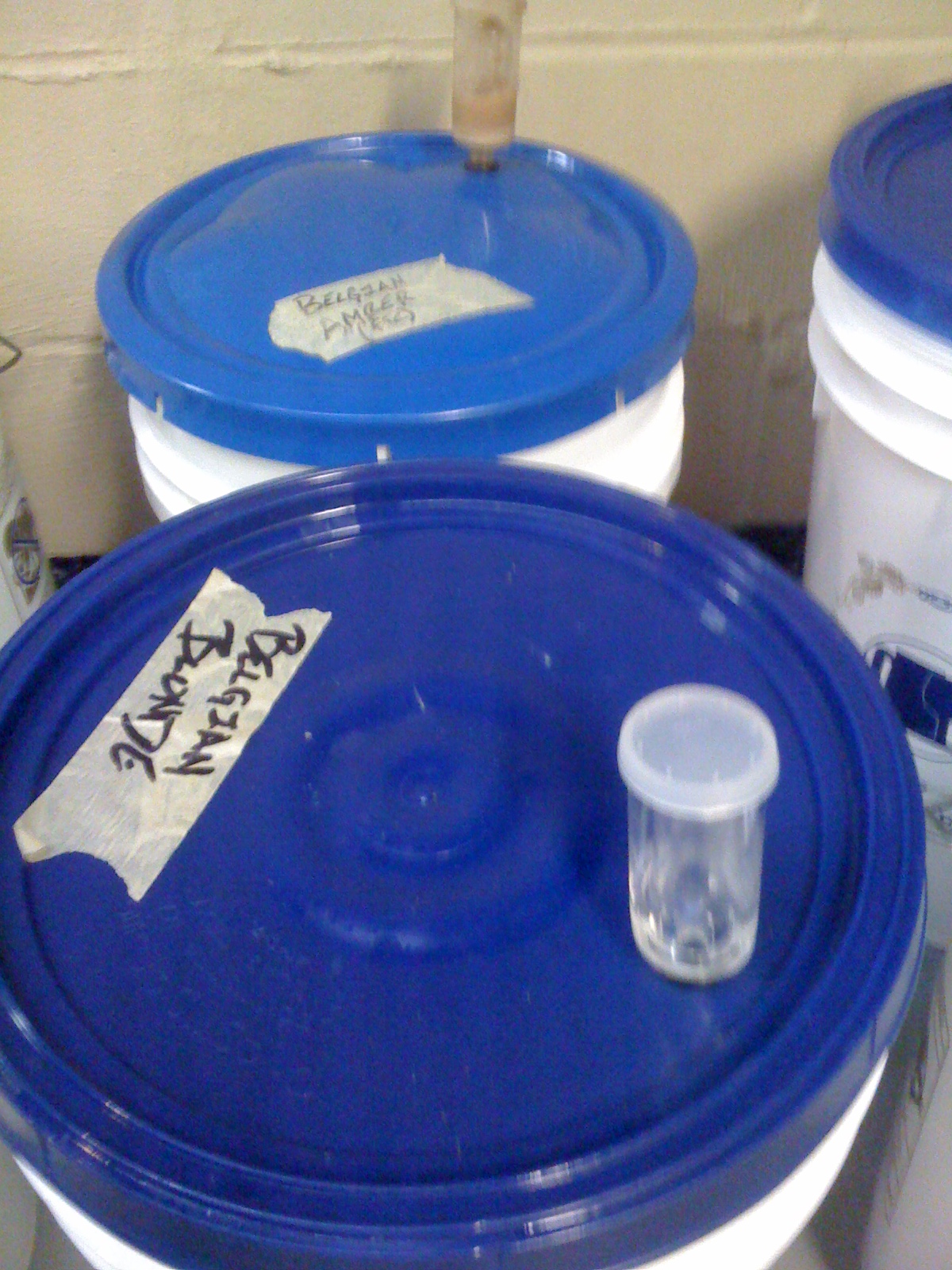 BrewRageAleFermentationDay2