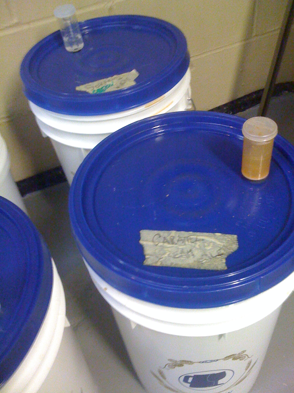 BrewRageAleFermentationDay2