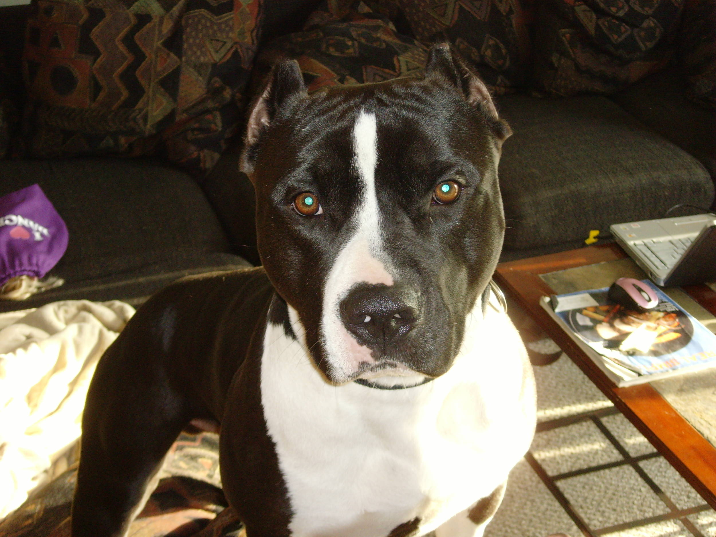 Ruger