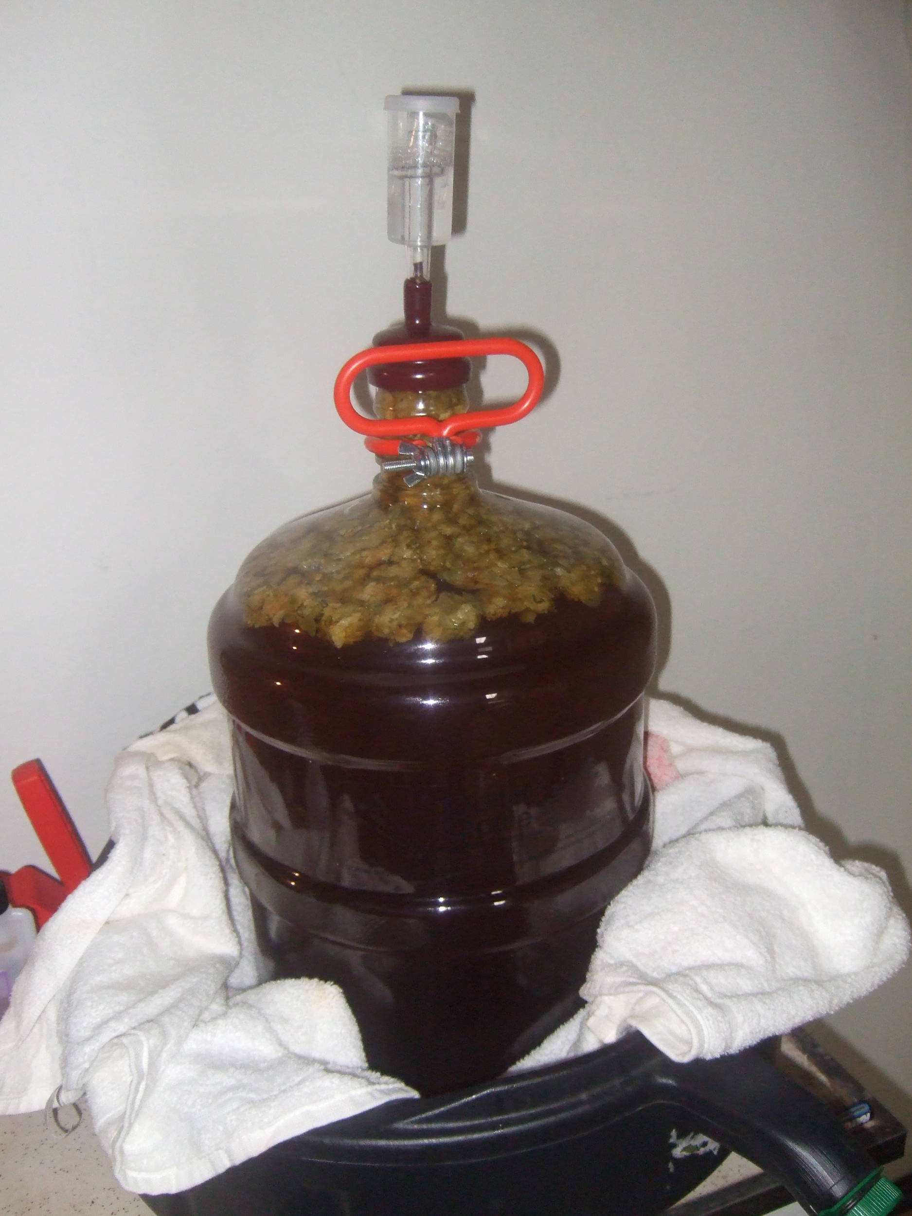 DryHoppedAPA