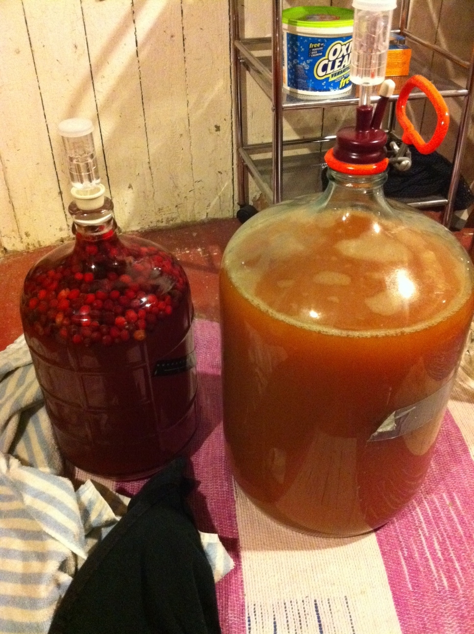 cider1