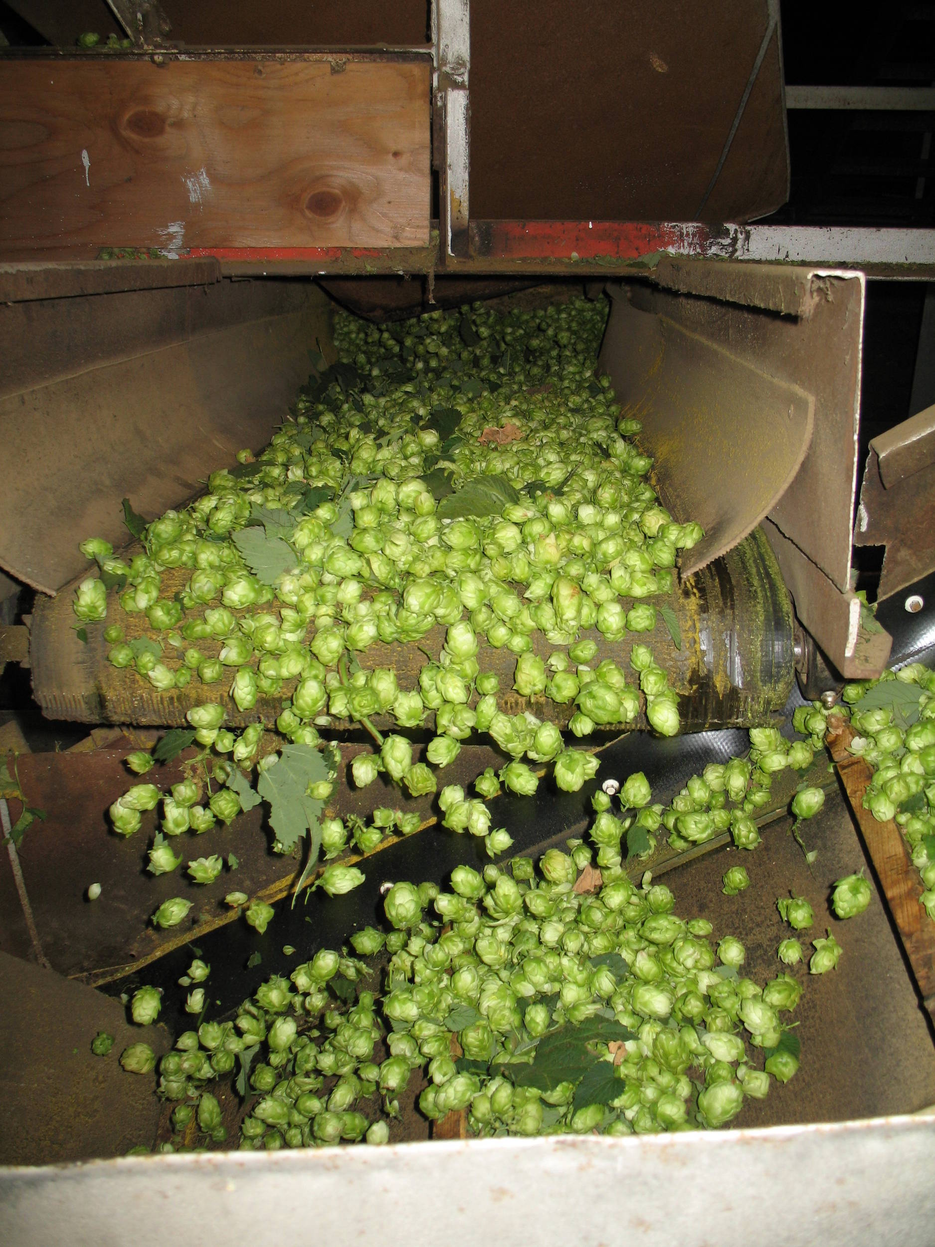 Hopsonthemove
