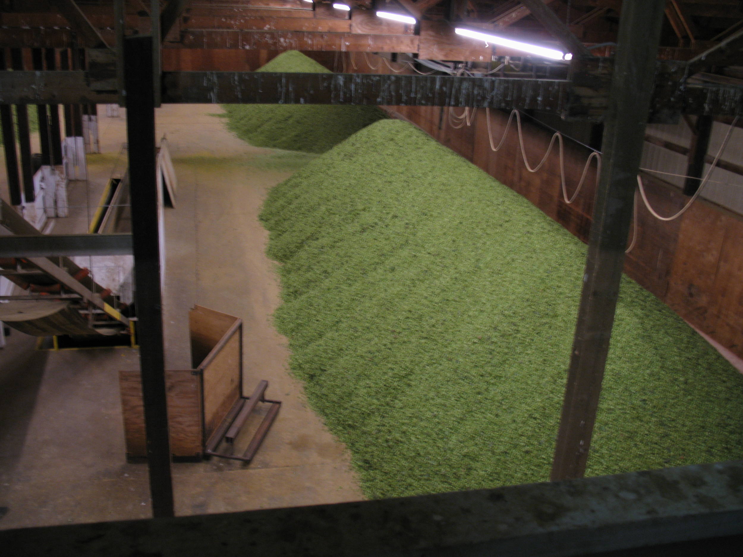 HugePileofHops