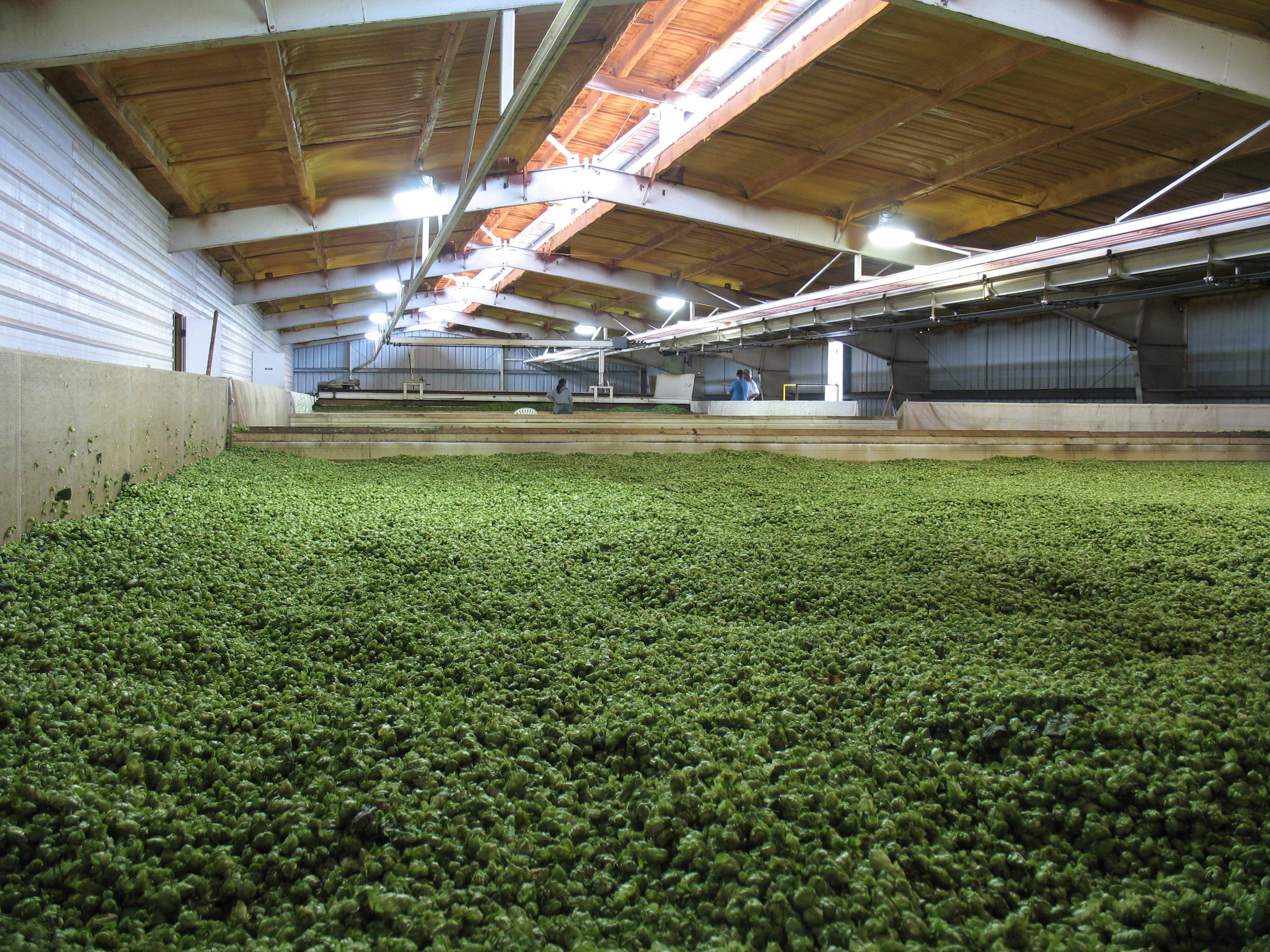 Thehopdryer