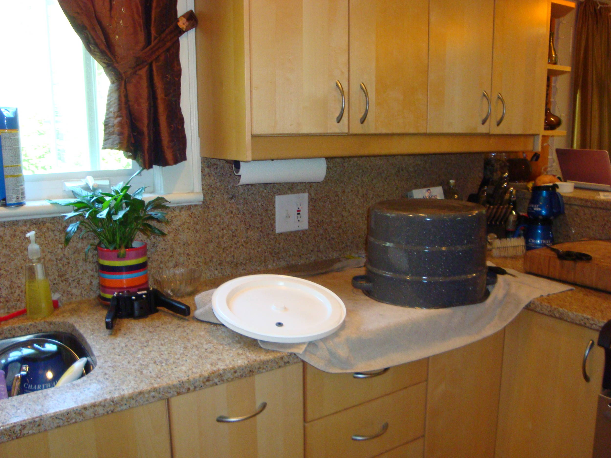 DSC004201