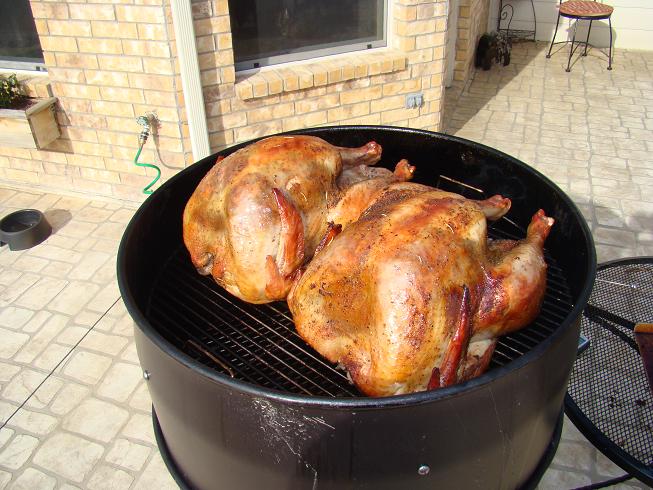 turkeys