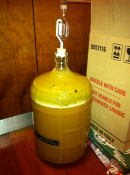 Firstbatchfermenting