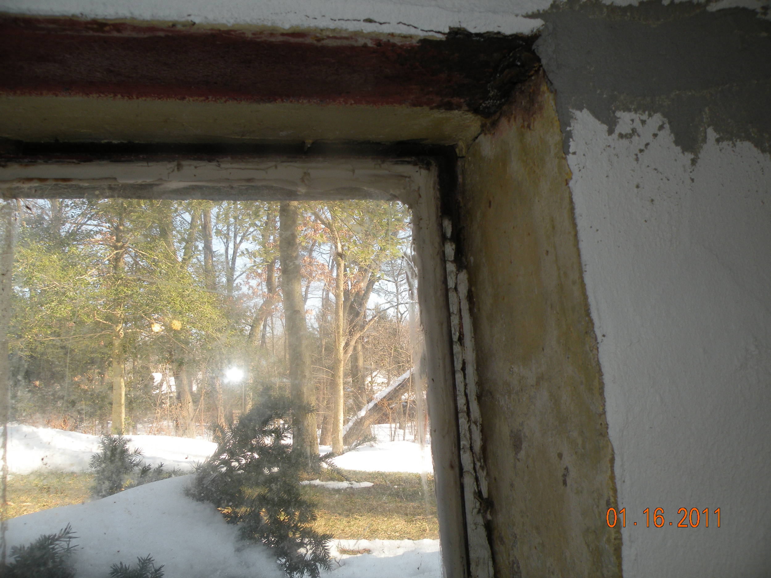 DSCN4850