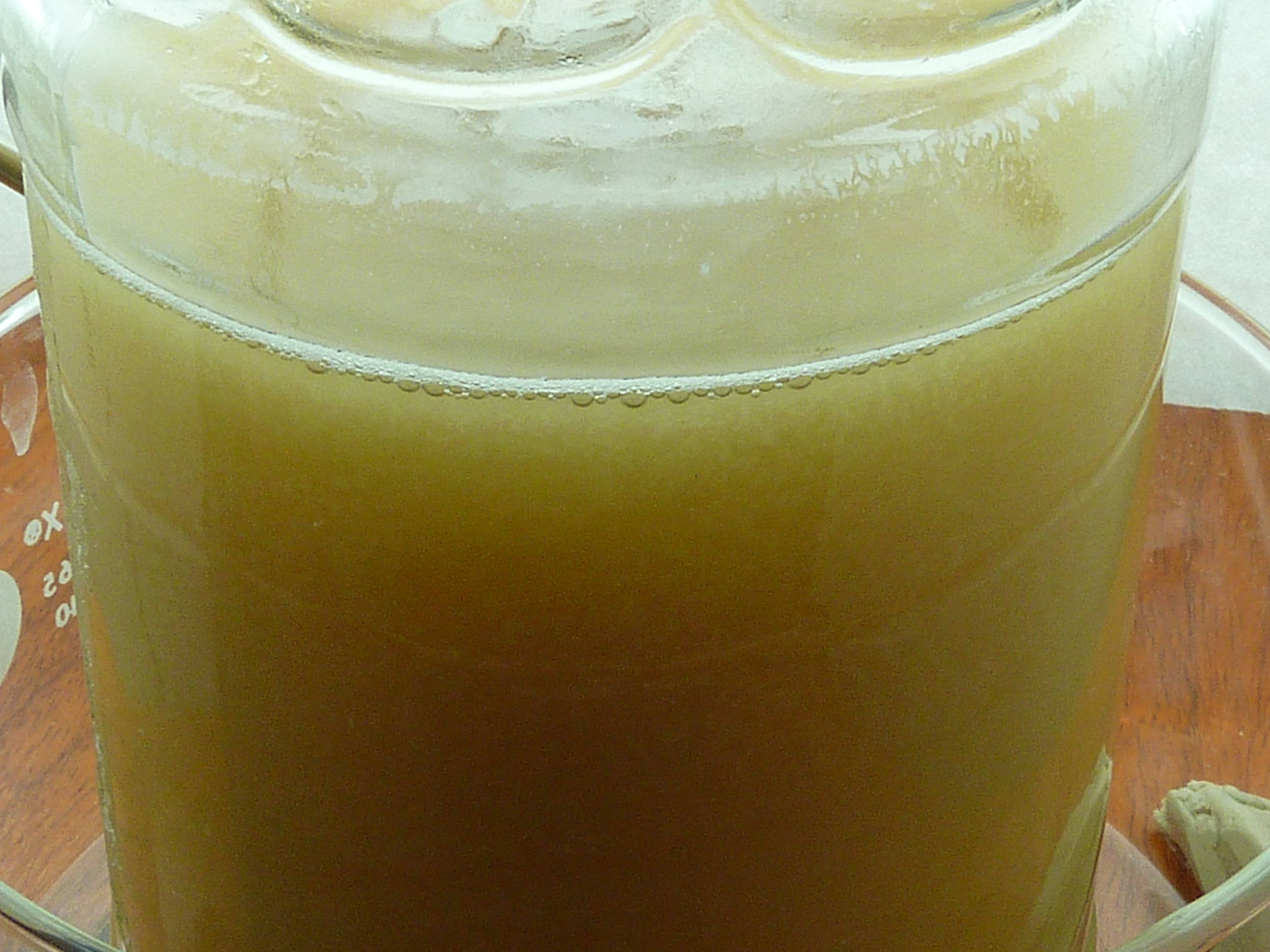 YeaststarteronaDIYstirplate